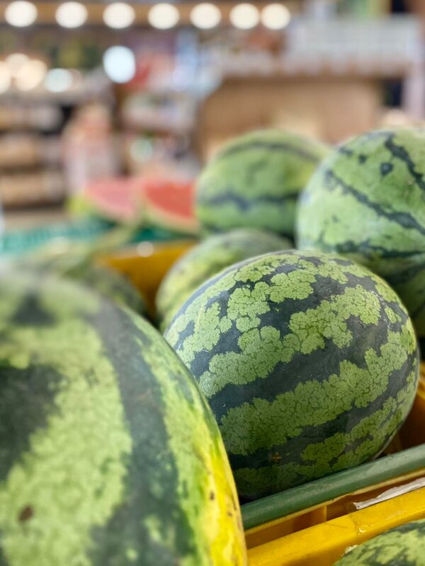 Jumbo Watermelons Taranaki